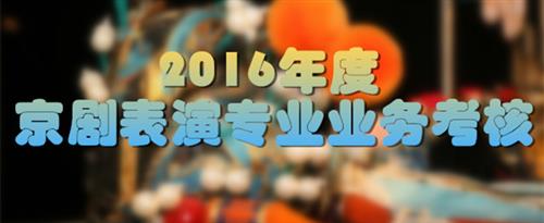 插B搞国家京剧院2016年度京剧表演专业业务考...